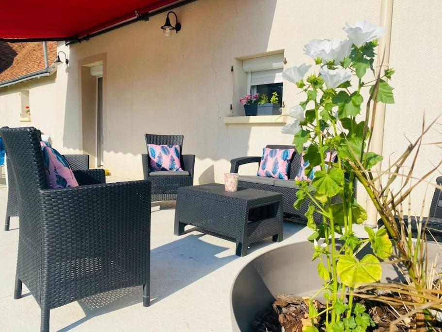 Gite Chez Paulette Mareuil-sur-Cher Zewnętrze zdjęcie
